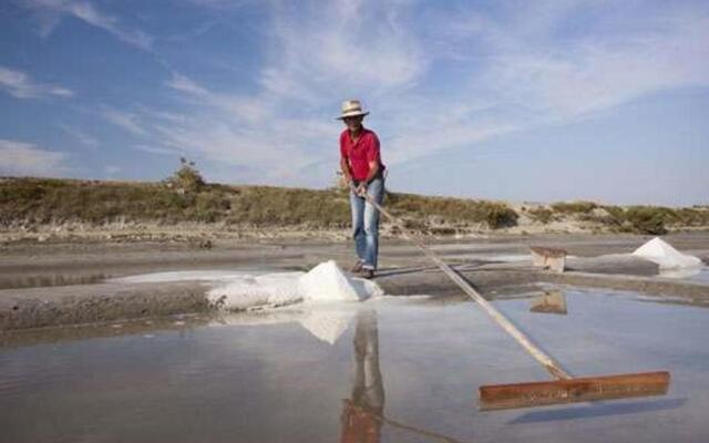 Appartement Saint-Jean-de-Monts, 2 pièces, 6 personnes - FR-1-323-75