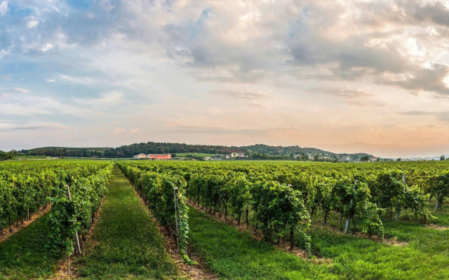 Tenuta La Presa