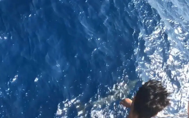 Hermes Hotel Özdere