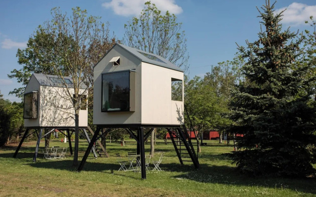 Camp Dzban