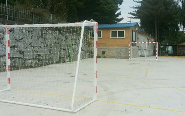 Daeseong-ri Clean Hangang Camp Pension