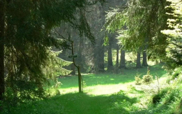 Cozy Holiday Home in Großbreitenbach near Schwarza Valley