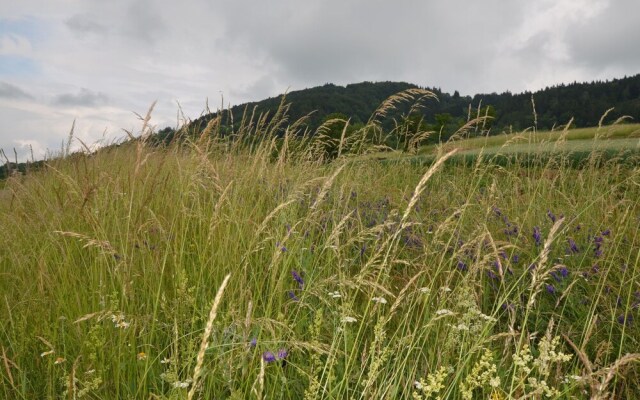 Modern Mansion in Bene ov u Semil With Pool