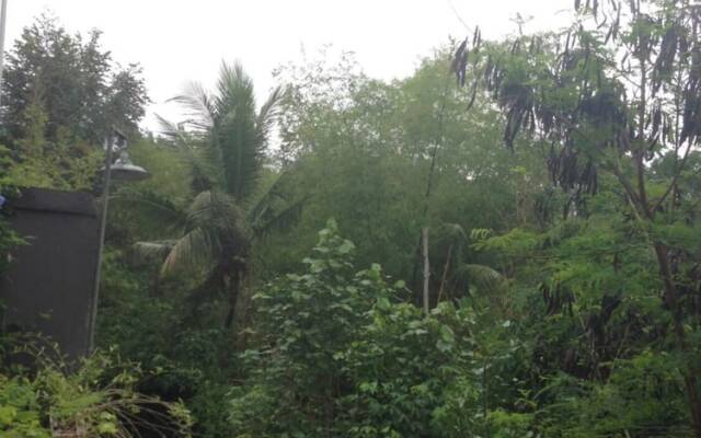 Cebluk Sari Homestay