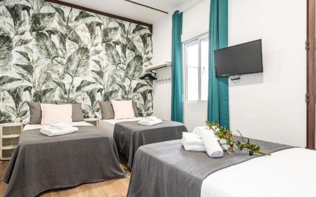 BNBHolder Tropical CENTRE