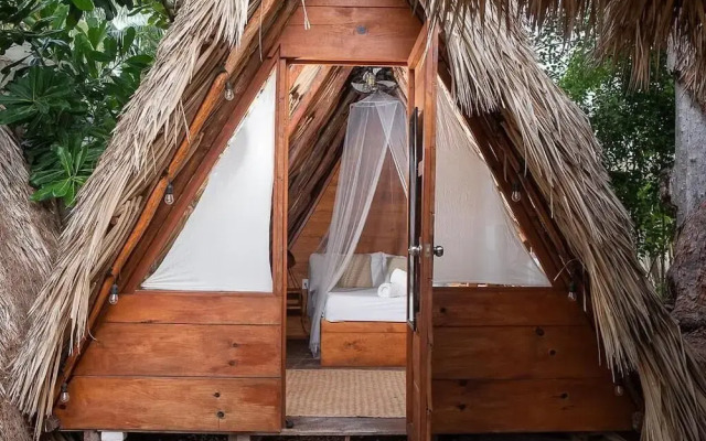 Mapache Hostel