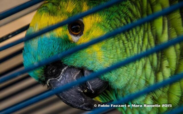 Agriturismo Campofelice