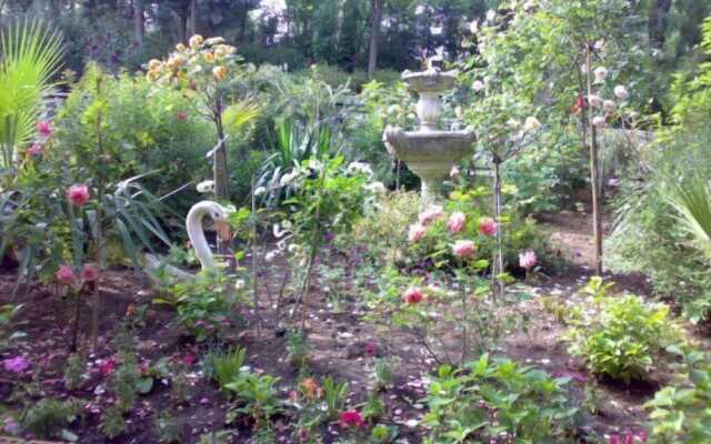 Santa Roza Butik Otel