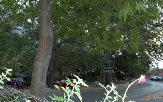 Cinaraltı Pansiyon
