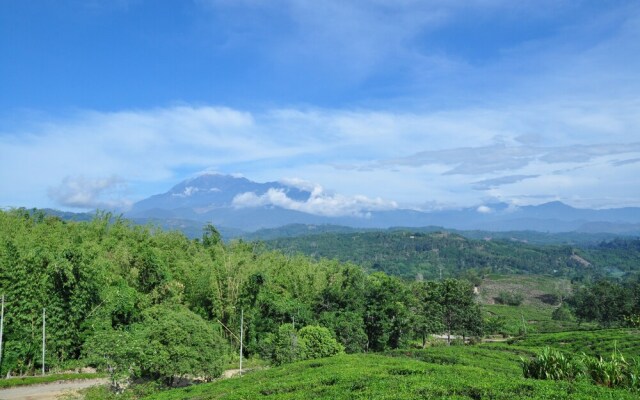 Sabah Tea Resort