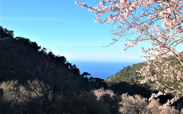 Villa Ceviz Evi by Akdenizvillam