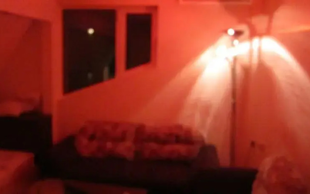 Fennec Fox Apparment