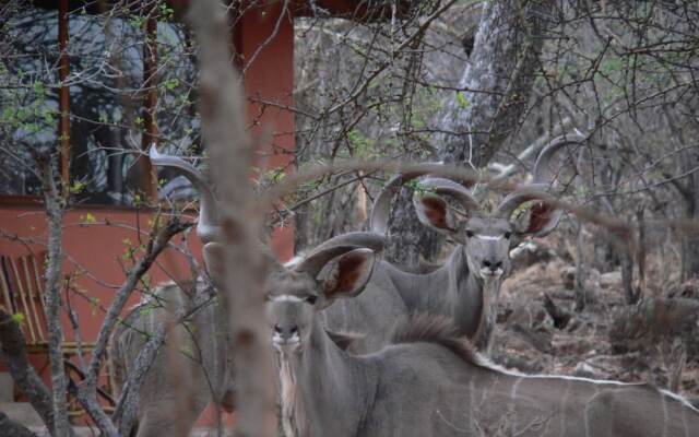 Ohange Namibia Lodge