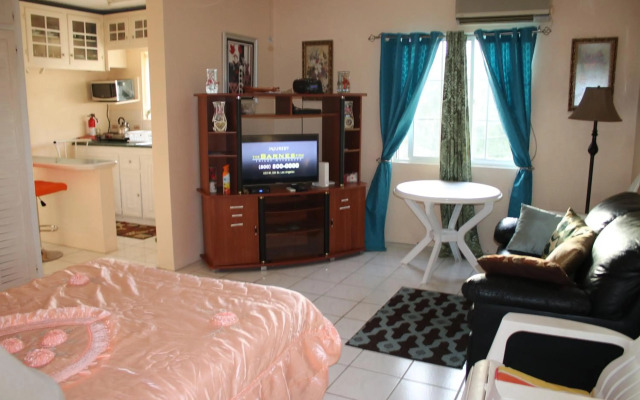 Cozy Studio @ Country Manor