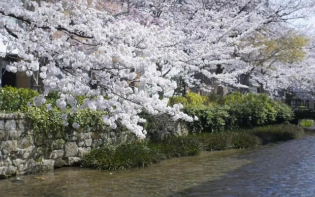 Jeugiya - Vacation STAY 87441v