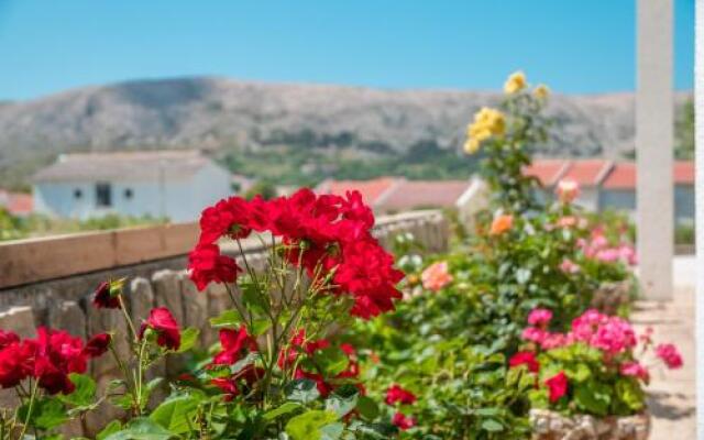 Apartmani Andreja