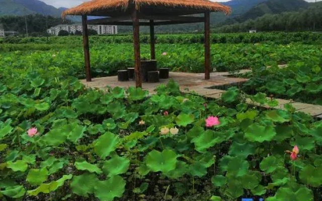 Yueman Inn