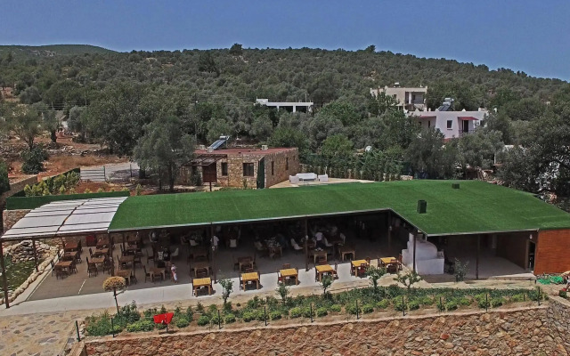 Tomato Bodrum