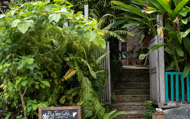 Big Tree Boutique Hotel