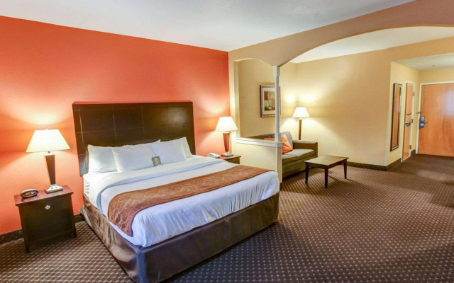 Comfort Suites At Rivergate Mall - фото 5