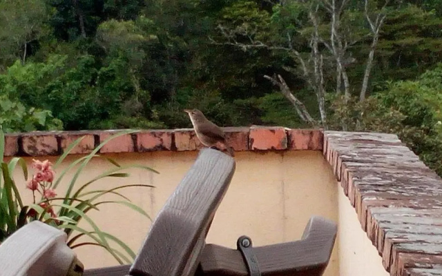 Finca Agualinda