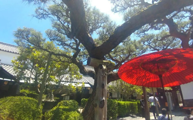 Travel&Book Hotel Hulaton Cabin Takamatsu - Hostel