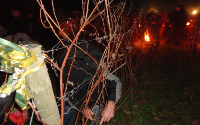 Viella Vacances Chambres d'hôtes