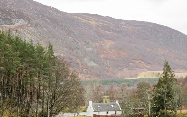 Wildcat Lodge