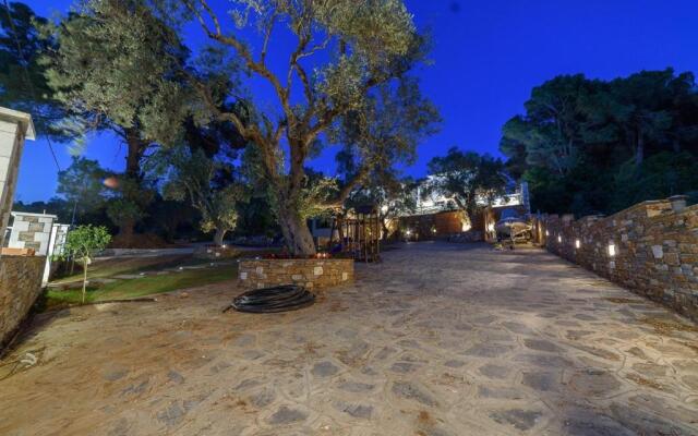 Agrielia Studios Katigiorgis, Agios Georgios