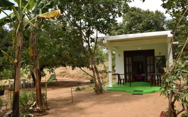 Sigiri Elephant View Guest