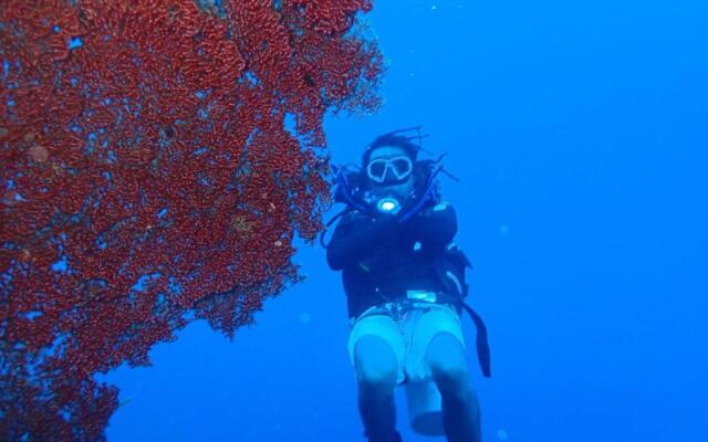 Guest house dorm Floressa