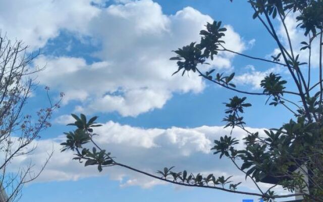 Xiting villas  (Dali Ancient City Shop)