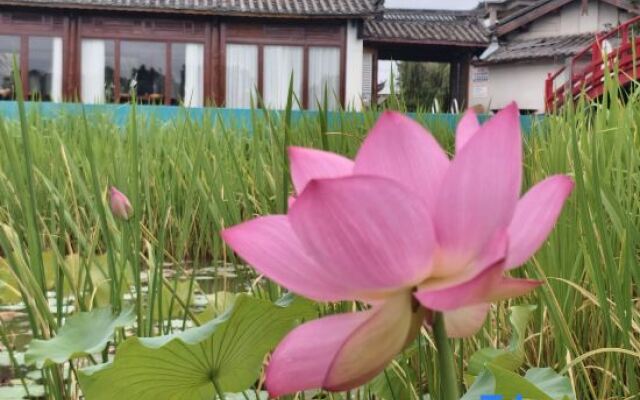 Yun Shang Yi Ju Spring Resort