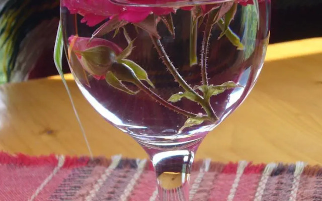 Momchil Unak Guest House