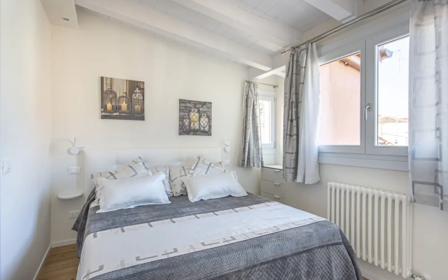 Dogi suite