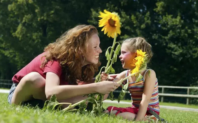 Gîtes la Forge de Sainte Marie