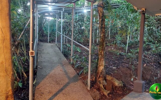 Perla verde hostel y tours en la zona