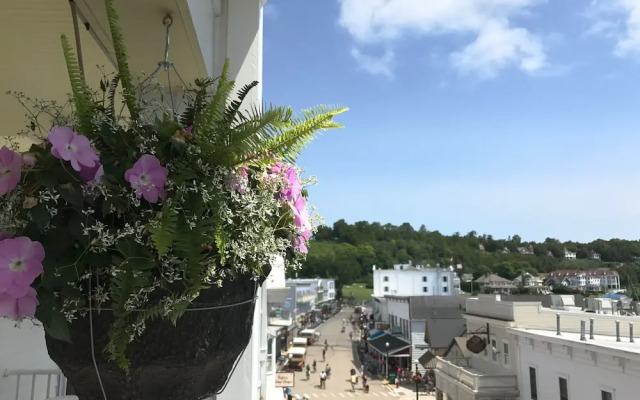 Lilac Tree Suites