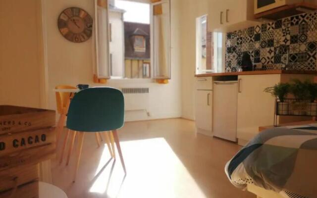 Studio chaleureux Le Coeur -Troyes Centre Ville