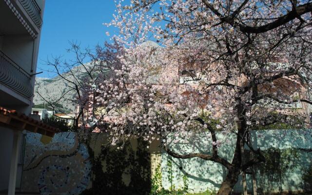 Apartments Natura Jurjević Makarska