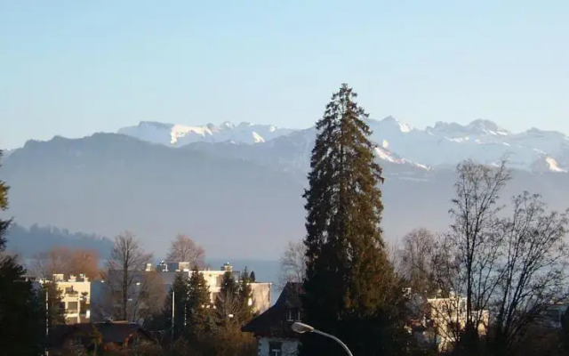 Brunnhalde