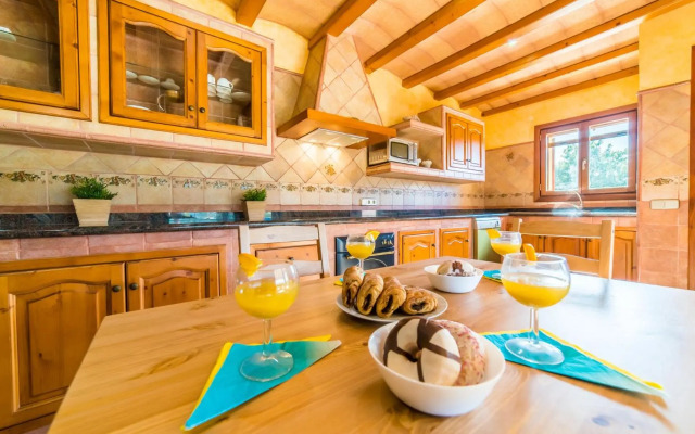 Puig d'en Guardiola ID:74768