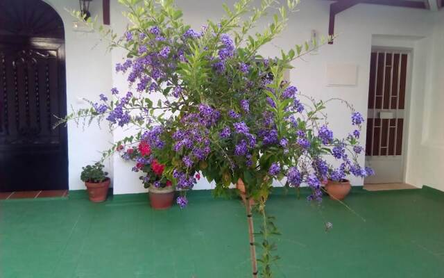 Hostal Batato