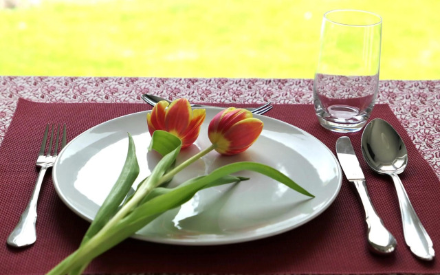 Ferienhaus "Möwennest"