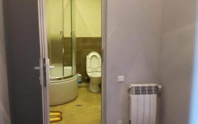 Apartment on Aleksandr Pushkin Street