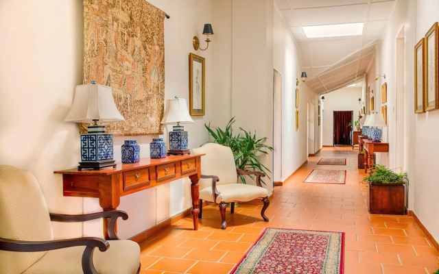 Dickoya by Zinc Journeys