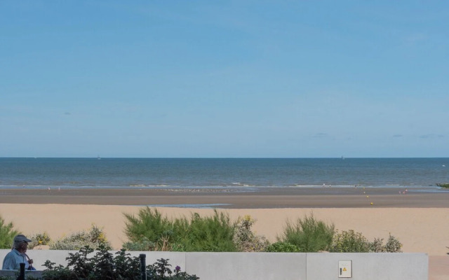 Ster Der Zee On Sea Shore
