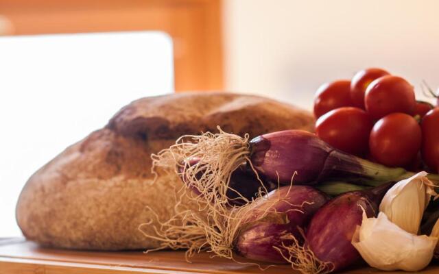 La maison des coquillages