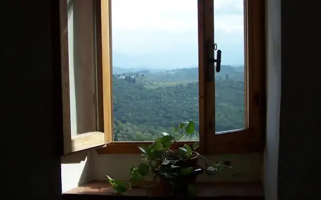 Tavernaccia