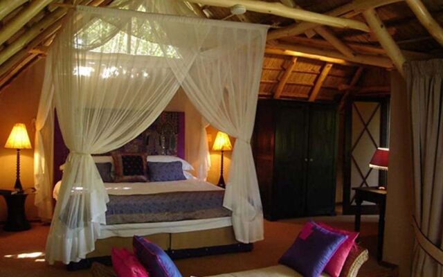 Phantom Forest Eco Reserve